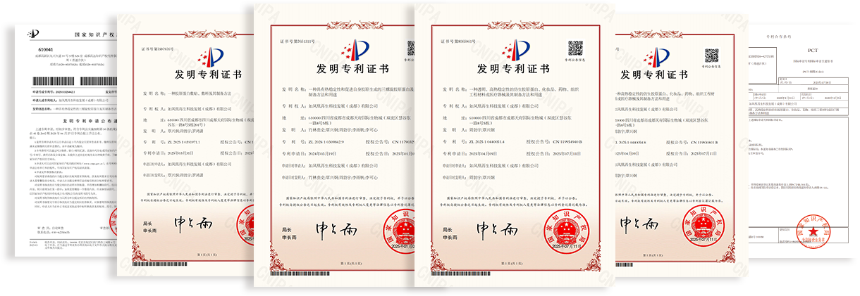 Invention Patent Certificate