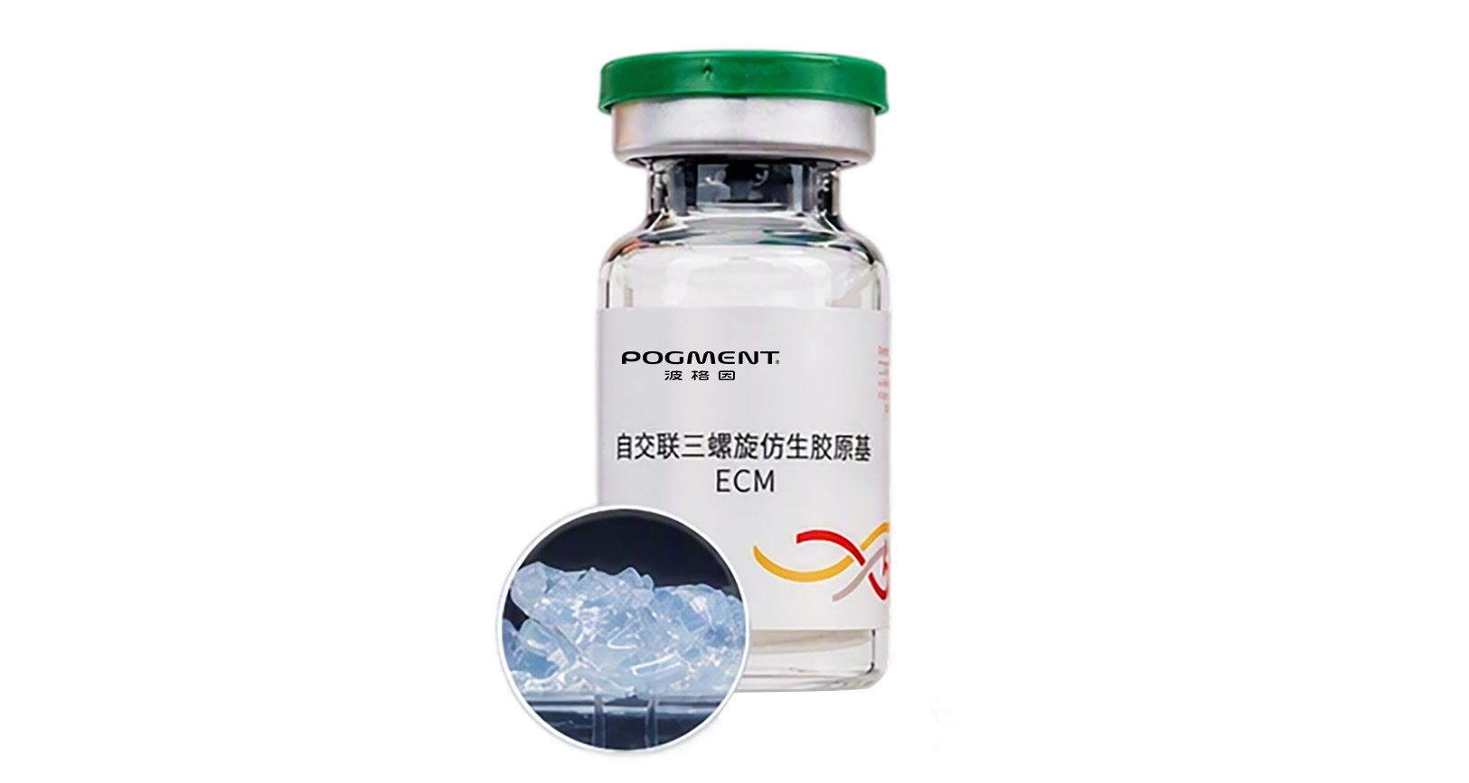 Self-crosslinked triple-helix biomimetic collagen ECM