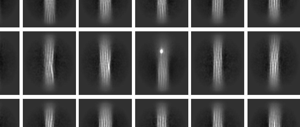 Cryo-EM imaging of triple-helix structure