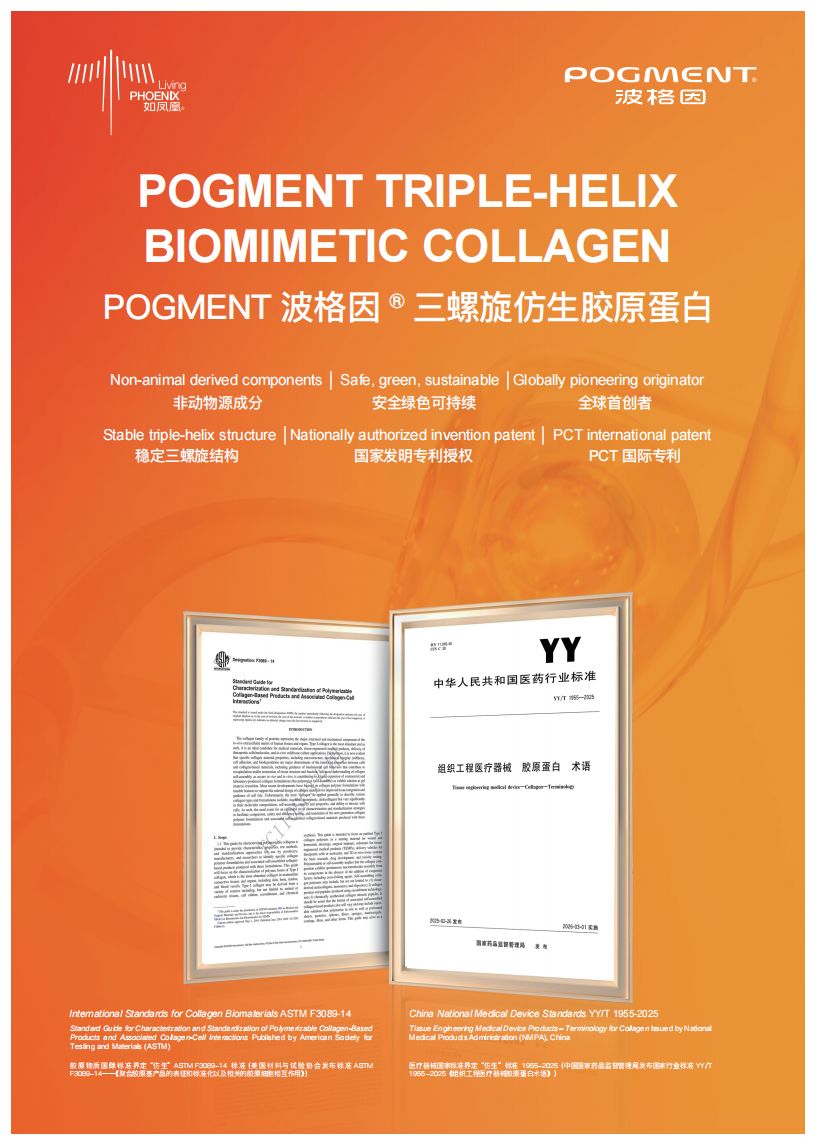 客户品牌融合折页（英中版）竖版A4_00.png