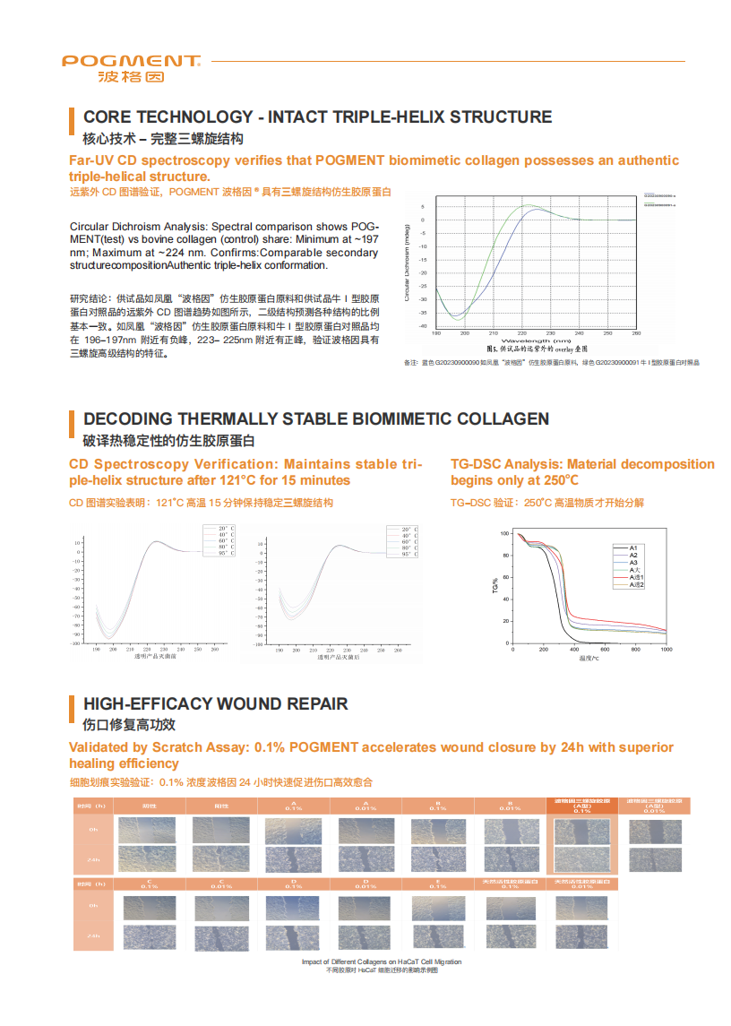 客户品牌融合折页（英中版）竖版A4_03.png