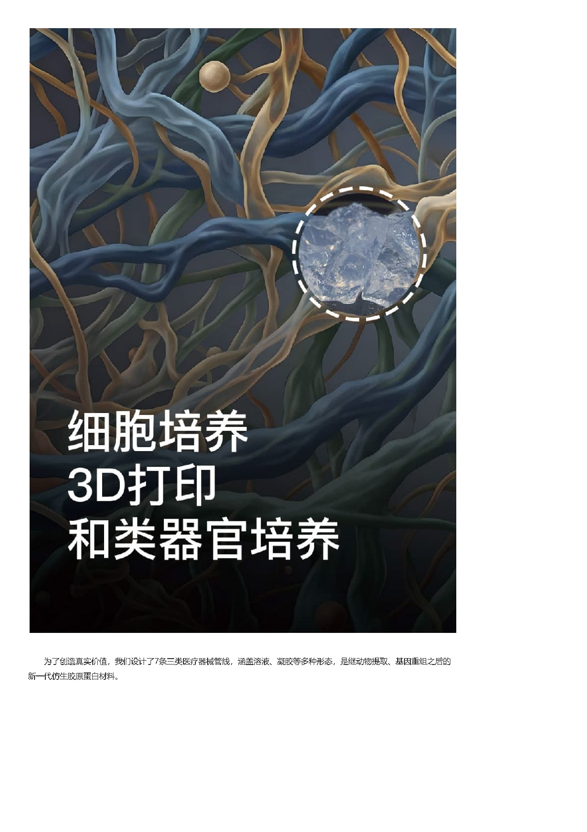 组合 1_页面_25.jpg