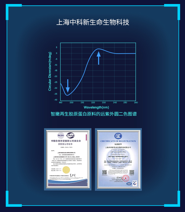 智嫩再生胶原蛋白原料在197nm附近出现明显的负峰，224nm附近有正峰，为左旋聚脯氨酸构型典型CD特征。 圆二色谱的正负峰强度比称为RPN，RPN值是胶原三螺旋结构的特征性指标，非变性胶原的RPN值一般在0.12左右，观察到智嫩再生胶原蛋白的RPN值为0.12。 以上光谱数据说明智嫩再生胶原蛋白具有三螺旋结构的特征。