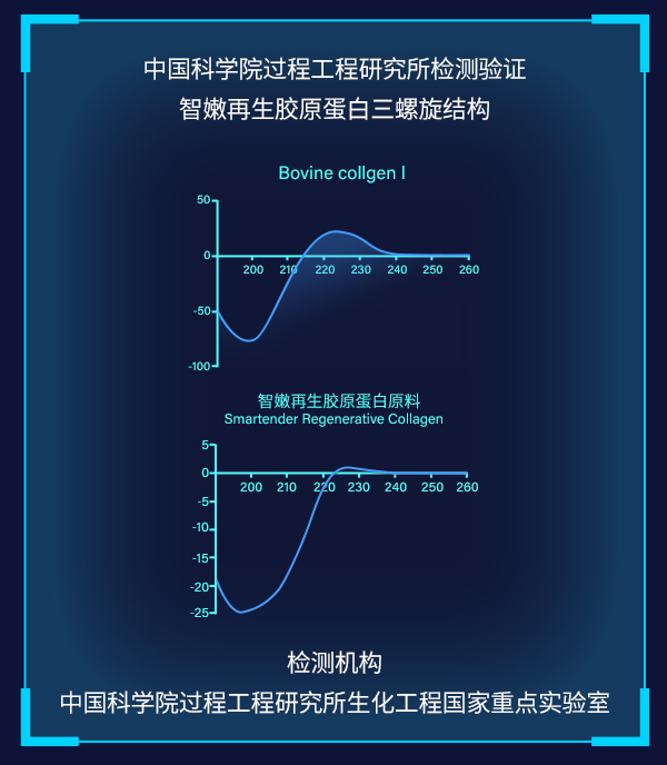 结论：本次CD光谱检测同时测定了牛I型胶原蛋白对照品，结果显示具有典型的221 nm附近的正峰和195 nm 附近的负峰，说明仪器使用性能和检测分析方法正常。智嫩再生胶原蛋白原料（样品批次：2308001）在195～200 nm 附近可检测到负峰，在220-230 nm之间检测到正峰，证明具备三螺旋结构。 备注：  溶解于50℃水中，离心取上清，上清液通过圆二色谱检测。    检测结构：中国科学院过程工程研究所生化工程国家重点实验室